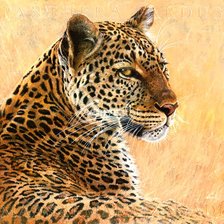 Схема вышивки «№611941»