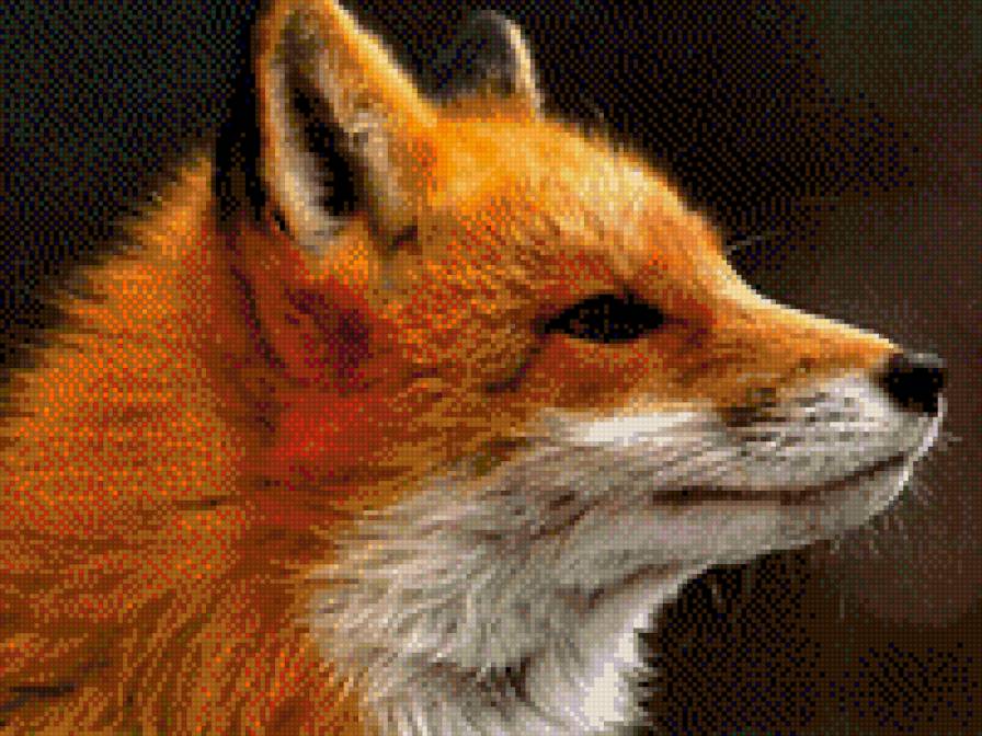 Лиса - лис, лиса - предпросмотр