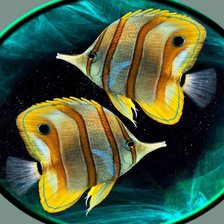 Схема вышивки «Рыбки»