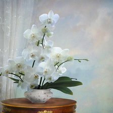 Схема вышивки «орхидеи»