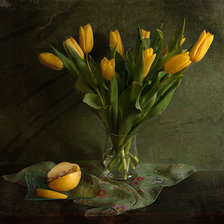 Схема вышивки «тюльпаны»