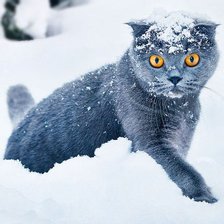 Схема вышивки «охотник»