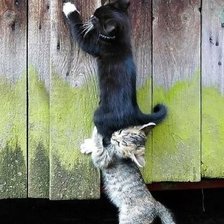 Схема вышивки «друзья»