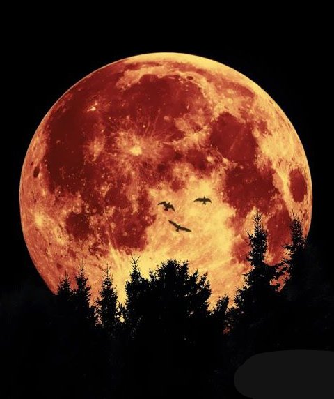 луна-красотка - вечер, закат, природа - оригинал