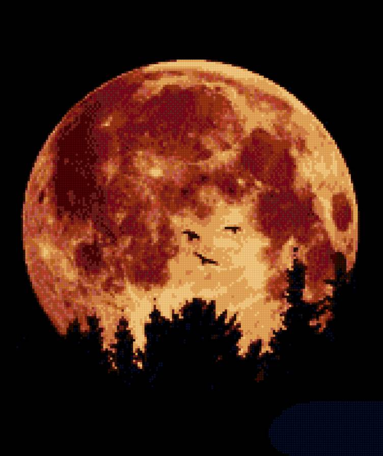 №612328 - природа, закат, вечер - предпросмотр