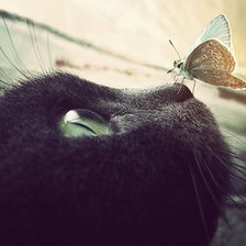 Схема вышивки «№612346»