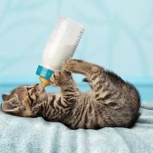 Схема вышивки «я сам»