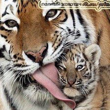 Схема вышивки «Мой любимый сынок»