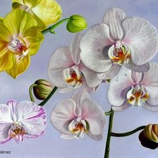 Схема вышивки «цветы»