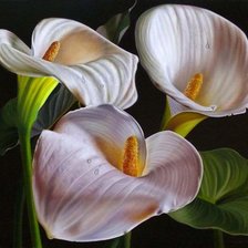 Схема вышивки «цветы»