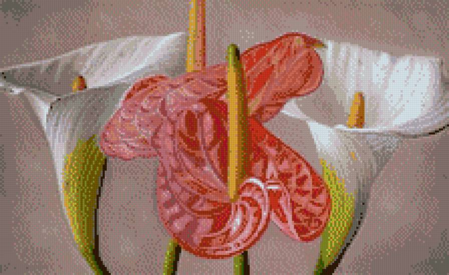 цветы - каллы, цветы, букет - предпросмотр