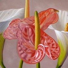 Схема вышивки «цветы»