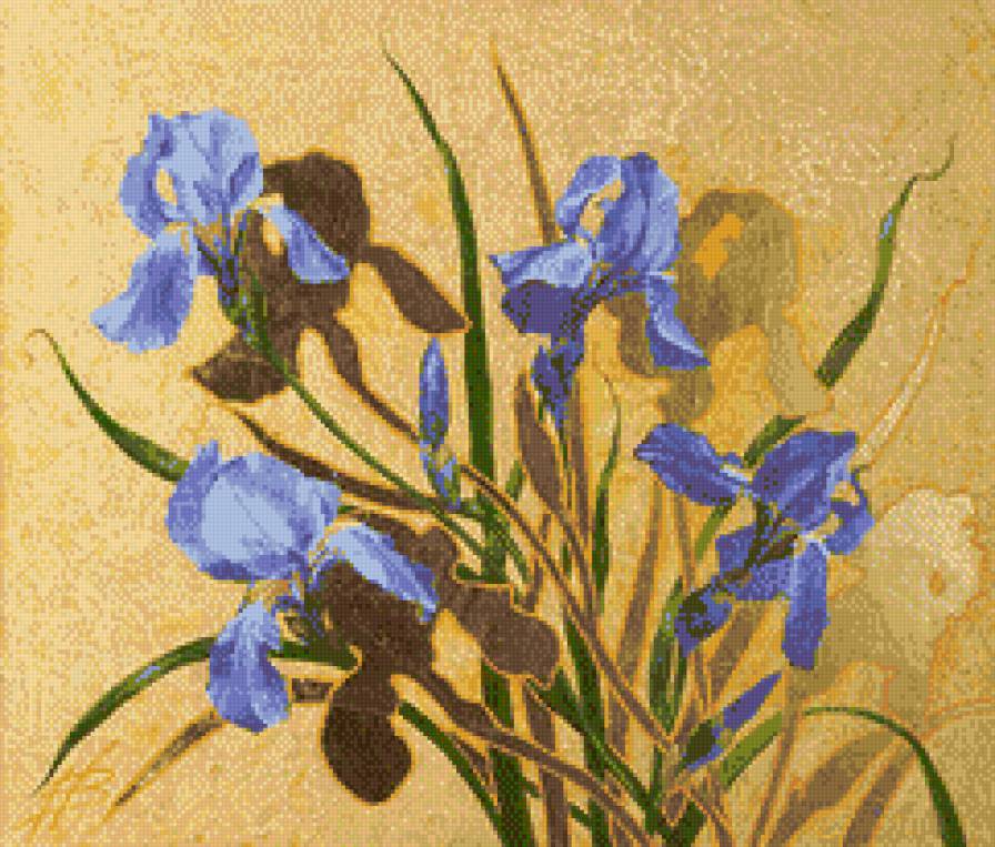 цветы - букет, цветы, ирисы - предпросмотр