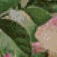 Предпросмотр схемы вышивки «серия "розы"» (№612718)
