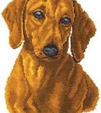 Схема вышивки «perro maron»