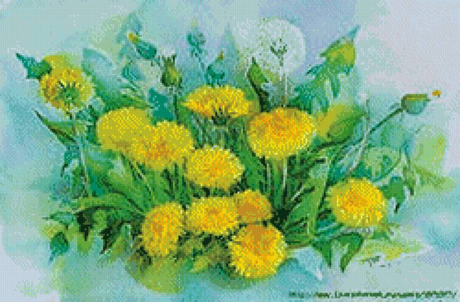 одуванчики - предпросмотр