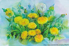 Схема вышивки «одуванчики»