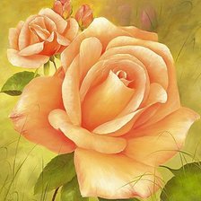 Схема вышивки «Роза»