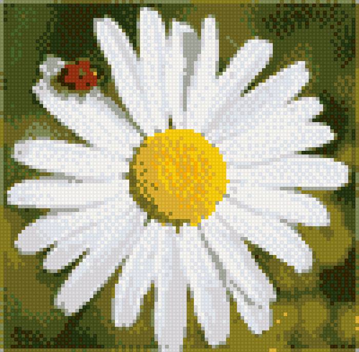 Ромашка - божья коровка, цветы, ромашка, насекомые - предпросмотр