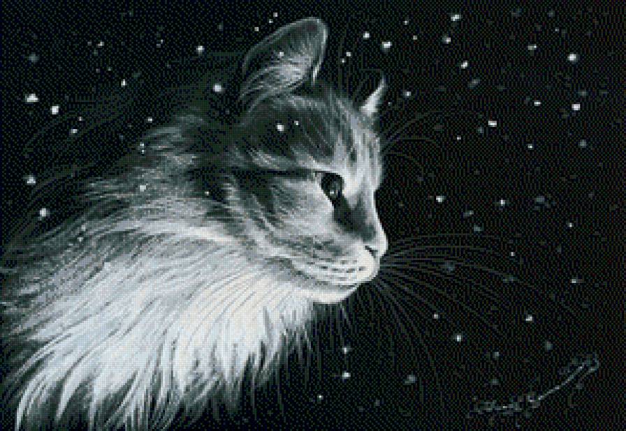 кошка - кошки - предпросмотр