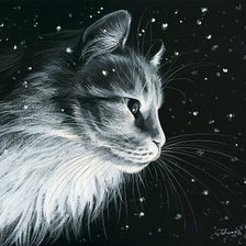 Схема вышивки «кошка»