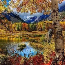 Схема вышивки «осень»