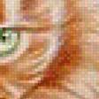 Предпросмотр схемы вышивки «рыжик» (№613667)