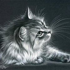 Схема вышивки «котик с бабочкой»