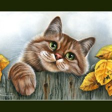 Схема вышивки «выпустите меня»