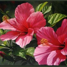 Схема вышивки «цветы»