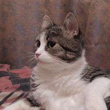 Схема вышивки «Симона»