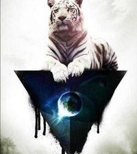 Схема вышивки «Тигр»