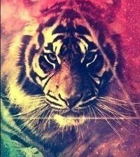 Схема вышивки «Тигр»