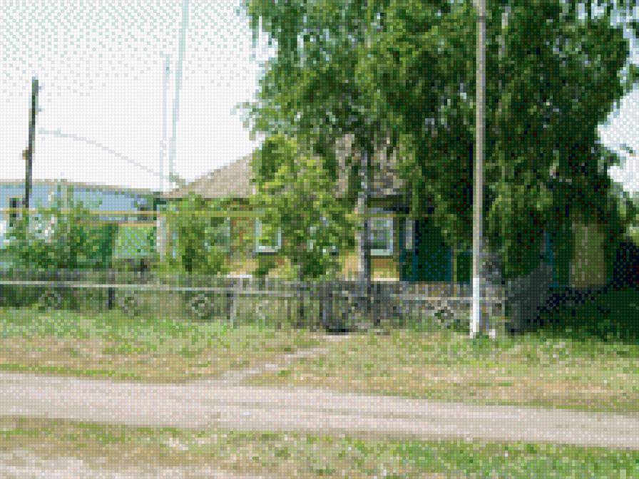 березка у дома - пейзаж - предпросмотр