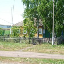 березка у дома