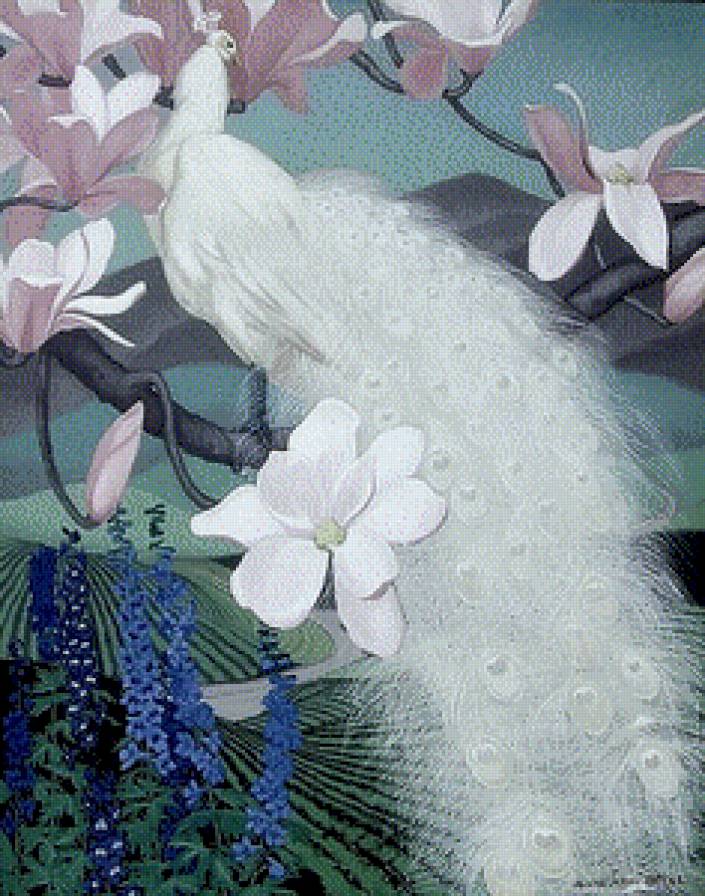 белый красавец - птицы - предпросмотр