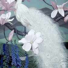 Схема вышивки «белый красавец»