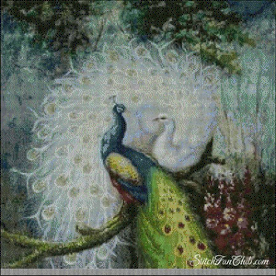 павлины - птицы - предпросмотр