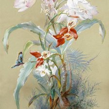 Схема вышивки «бабочка на цветах»