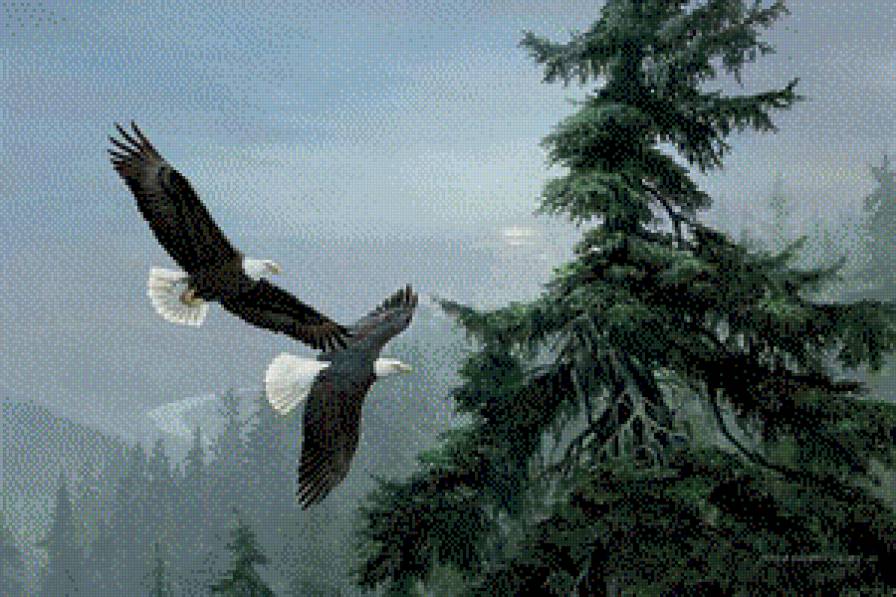орлиный полет - птицы - предпросмотр
