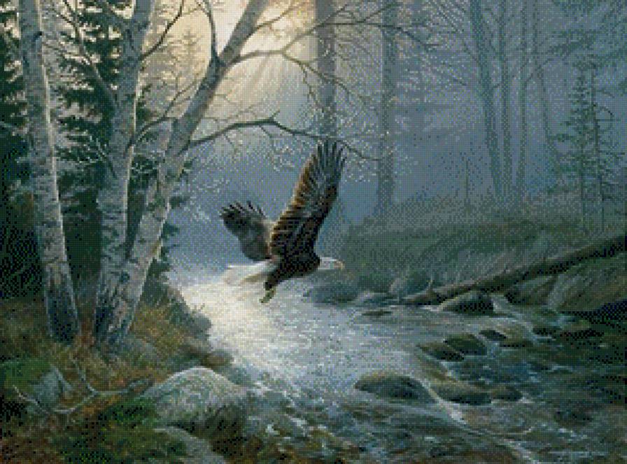 орел - птицы - предпросмотр