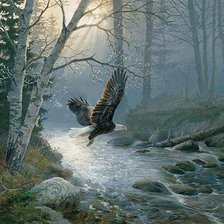 Схема вышивки «орел»