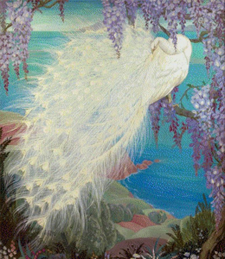 белый павлин - птицы - предпросмотр