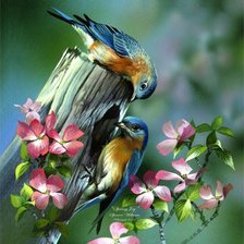 Схема вышивки «птички»