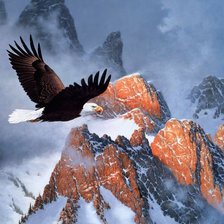 Схема вышивки «полет орла»