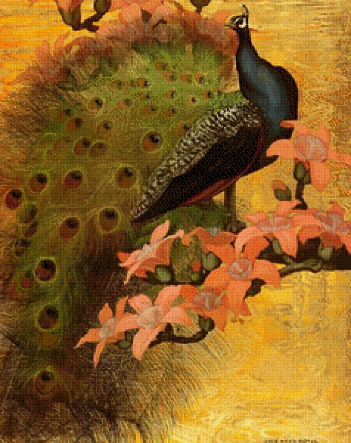 павлин - птицы - предпросмотр