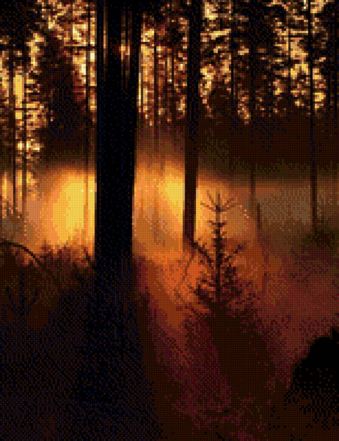 Лес - лес, деревья, природа - предпросмотр