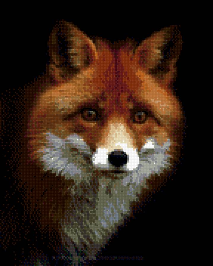 Лис - лис, лисичка, животные лиса - предпросмотр