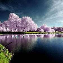 Схема вышивки «природа»