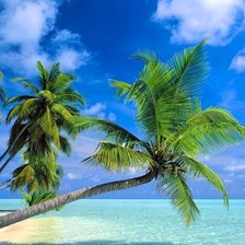 Схема вышивки «природа»